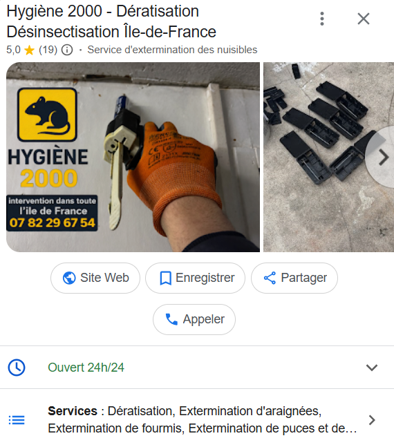 Fiche Google Hygiène 2000 — dératisation et désinsectisation en Île-de-France